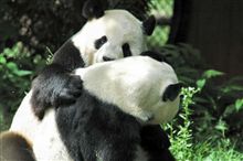 いいかげん寝なきゃね・・自分