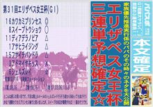 パパスポ　１０号　第３１回エリザベス女王杯(ＧＩ)