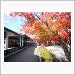 軽井沢の紅葉