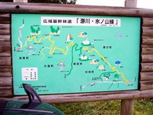 林道散策③紅葉だよ。