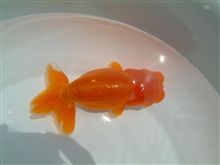 行きたいな。。