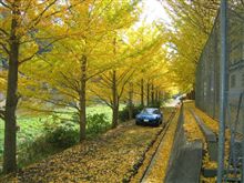 町で見かけたＮＣの数