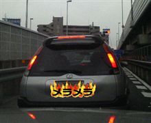又、居ました