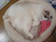 年に1度の(^.^)