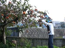 柿狩りに・・・