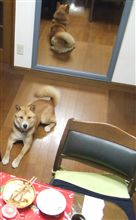 深夜の光景