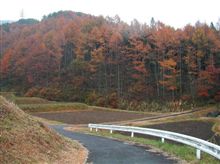走ってみたい峠道