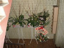 名古屋では花は持ち帰るもの
