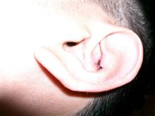 一部の方はご存知だと思いますが。。。