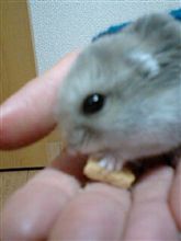 友人宅にて