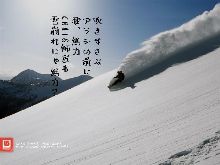 ちゃんと書けばよかったのかも?