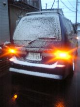 ついに降りましたね～