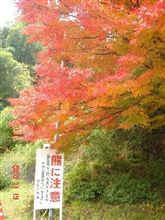 道の駅巡りぃぃぃ♪ 道の駅巡りぃぃぃ♪