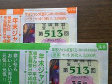 買ってしまいました…