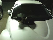洗車した後に・・・