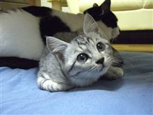 再び里子に･･･・ﾟ・(ﾉД`)・ﾟ・｡