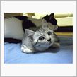 再び里子に･･･・ﾟ・(ﾉД ...