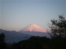 冬は近いですね。