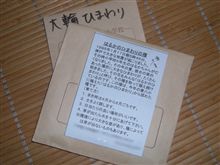 はるかのひまわりの種 はるかのひまわりの種