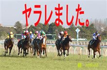 第26回 ジャパンカップ(ＧＩ)　ヤラレました。