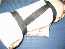 J○Ｓでの、頂き物です。