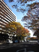 4連休で名古屋へ行ってました