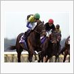 １番人気、ディープが優勝　ジ ...