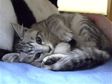 おかえり♪