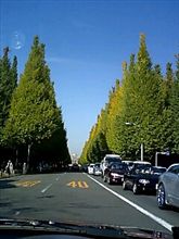 都内の紅葉スポット