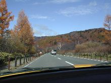 日光に紅葉・・・