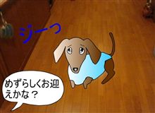 漫画『亀レオンの二世帯生活　ドン君のお迎え』