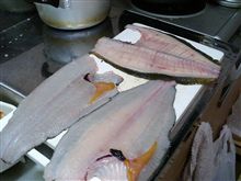 ヒラメずくし