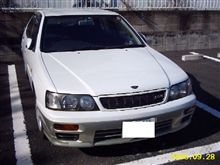 マイペースは人間だけではありません マイペースは人間だけではありません