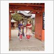 舞妓さんがこけました
