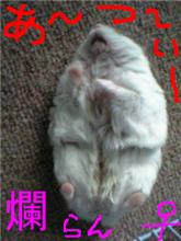 早くも、夏バテ (&gt;_&lt;)