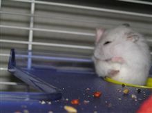 決定的瞬間