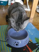 いつの間にΣ(-＿-ノ)ノ？？？
