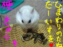 今日は、元気 (^ ^)