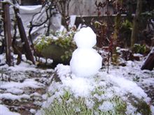 午前中から～♪