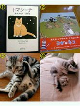 ニャンコ本 ニャンコ本