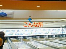 昨日は会社の親睦会
