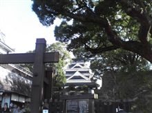 東奔西走