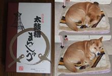 上手いこと寝るなぁ♪