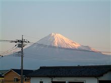 ドクターフィッシュ ドクターフィッシュ