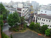 ７月雨のスタート
