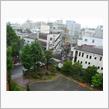 ７月雨のスタート