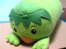「カッパ太郎」と申します。。。