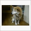 久々登場♪