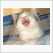 （&#180;Д｀ヽ）トホホ