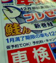 第1761回　頑張るコスモ
